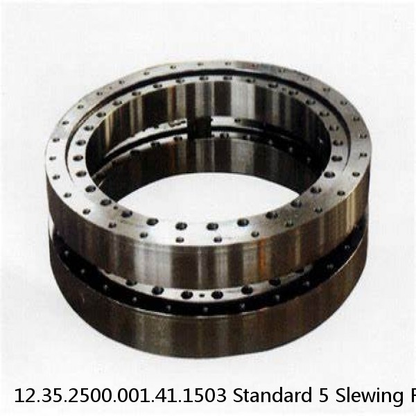 12.35.2500.001.41.1503 Standard 5 Slewing Ring Bearings