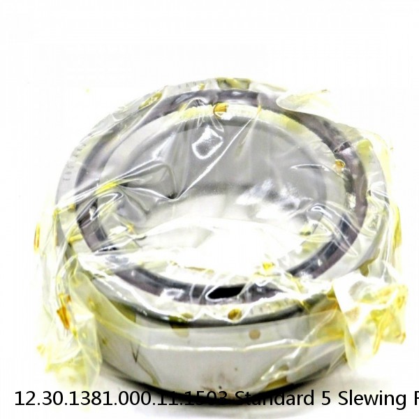 12.30.1381.000.11.1503 Standard 5 Slewing Ring Bearings