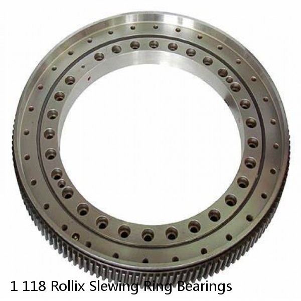 1 118 Rollix Slewing Ring Bearings #1 small image