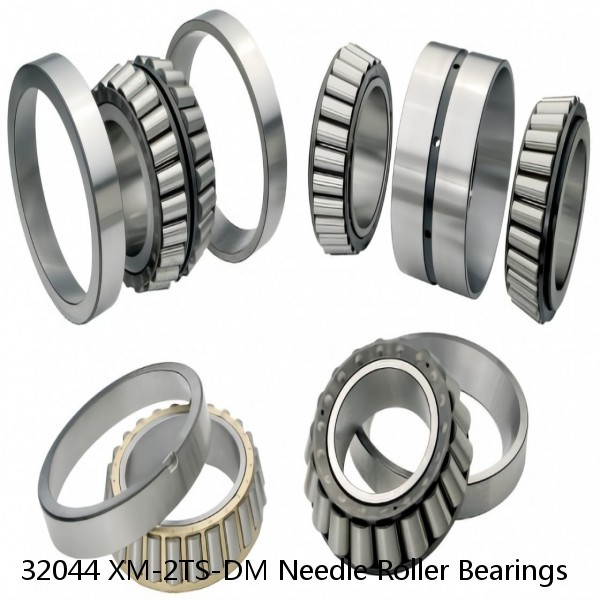 32044 XM-2TS-DM Needle Roller Bearings #1 small image