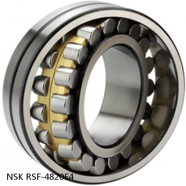 RSF-4820E4 NSK CYLINDRICAL ROLLER BEARING #1 small image