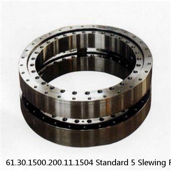 61.30.1500.200.11.1504 Standard 5 Slewing Ring Bearings