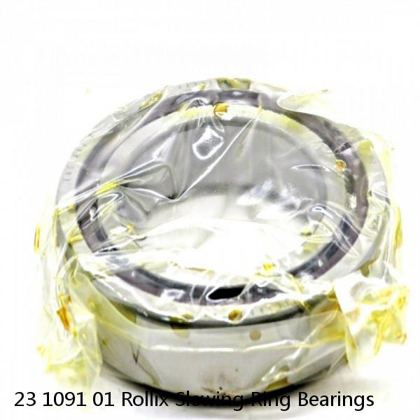 23 1091 01 Rollix Slewing Ring Bearings #1 small image