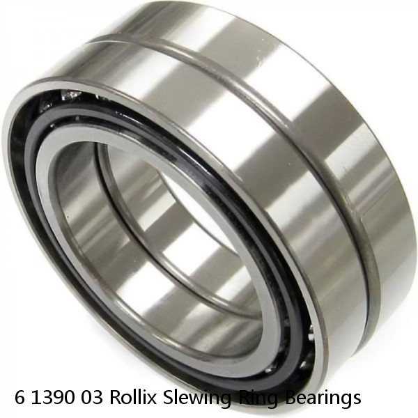 6 1390 03 Rollix Slewing Ring Bearings #1 small image