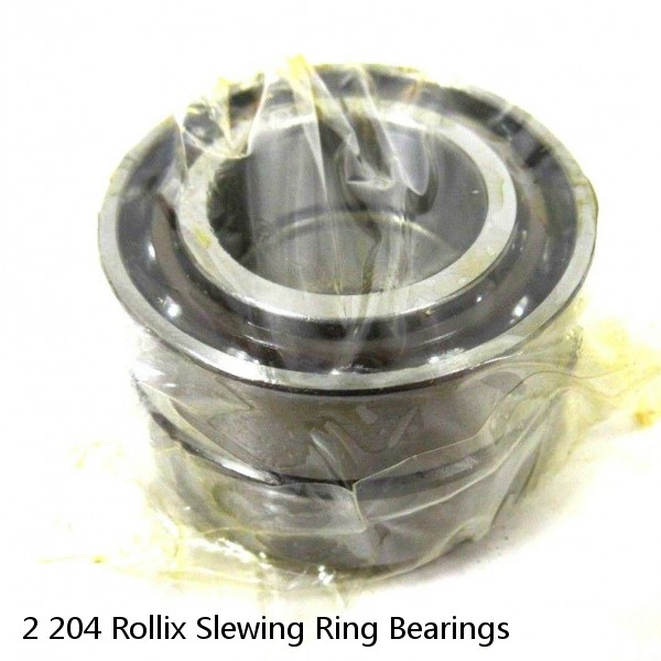 2 204 Rollix Slewing Ring Bearings