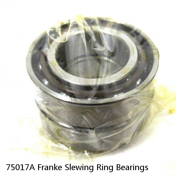 75017A Franke Slewing Ring Bearings #1 small image