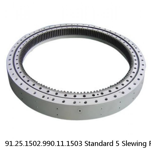 91.25.1502.990.11.1503 Standard 5 Slewing Ring Bearings #1 image