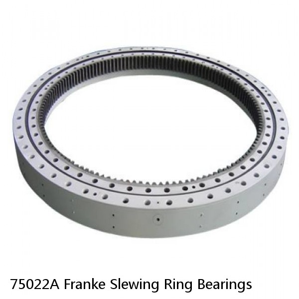 75022A Franke Slewing Ring Bearings #1 image