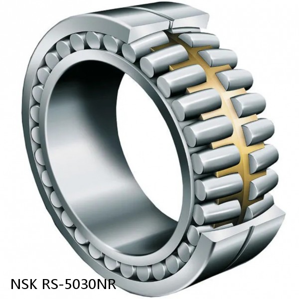 RS-5030NR NSK CYLINDRICAL ROLLER BEARING #1 image