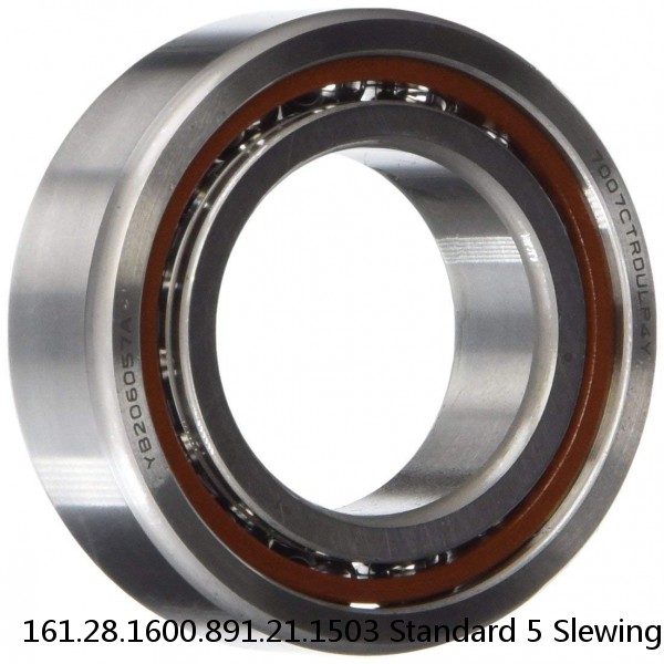 161.28.1600.891.21.1503 Standard 5 Slewing Ring Bearings #1 image