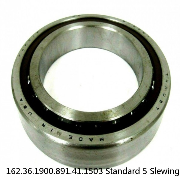162.36.1900.891.41.1503 Standard 5 Slewing Ring Bearings #1 image