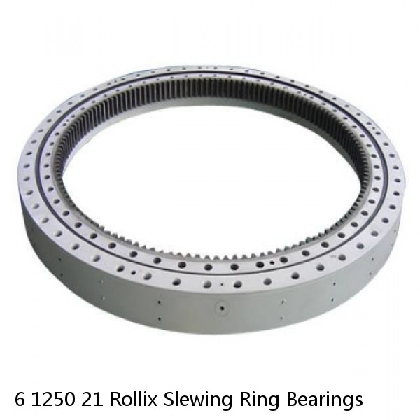 6 1250 21 Rollix Slewing Ring Bearings #1 image