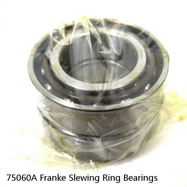 75060A Franke Slewing Ring Bearings #1 image